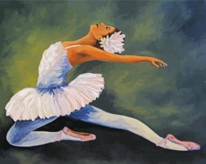 Swan Dancer Paint By Numbers