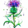 Colorful Thistle Paint By Numbers