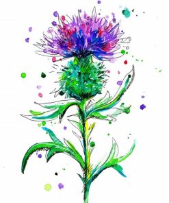 Colorful Thistle Paint By Numbers