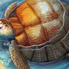 Turtle In Water Paint By Numbers