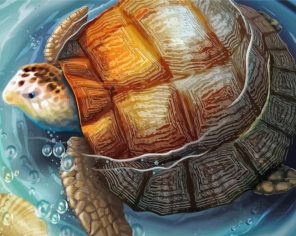 Turtle In Water Paint By Numbers