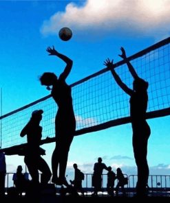 Volleyball Silhouette Paint By Numbers