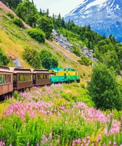 Alaska Railway Paint By Numbers