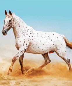 Artful Horse Paint By Numbers