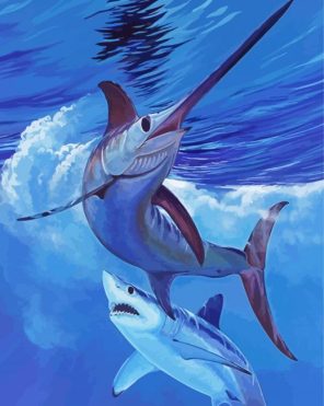 Sailfich And Shark Paint By Numbers