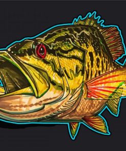 Smallmouth Illustration Paint By Numbers