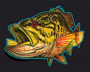 Smallmouth Illustration Paint By Numbers