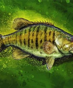 Artistic Smallmouth Paint By Numbers