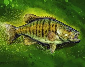 Artistic Smallmouth Paint By Numbers