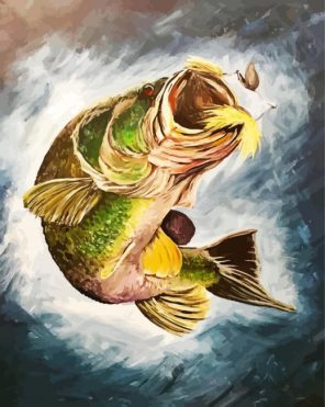 Largemouth Fish Paint By Numbers