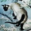 Aesthetic Siamese ArtPaint By Numbers