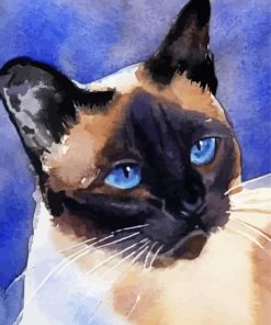 Siamese Cute Kitty Paint By Numbers