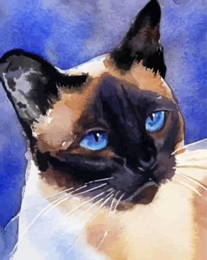 Siamese Cute Kitty Paint By Numbers