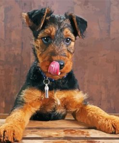 Cute Terrier Puppy Paint By Numbers