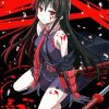 Akame Heroine Paint By Numbers