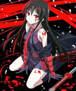 Akame Heroine Paint By Numbers