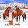 Horses Family Paint By Numbers