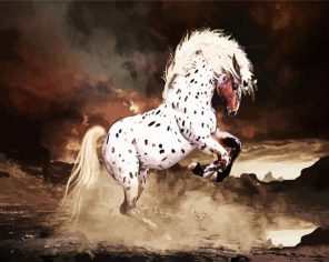 Appaloosa Paint By Numbers