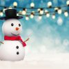 Cute Baby Snowman Paint By Numbers