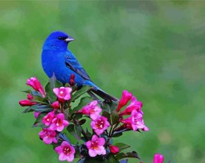 Cute Blue Birds Paint By Numbers