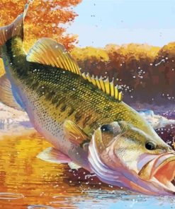 Aesthetic Largemouth Paint By Numbers