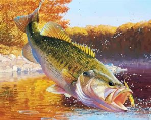 Aesthetic Largemouth Paint By Numbers