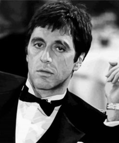 Young Al Pacino Paint By Numbers