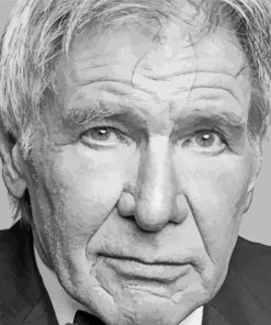 Harrison Ford Paint By Numbers