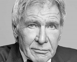 Harrison Ford Paint By Numbers