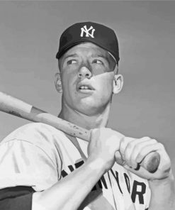 Mickey Mantle Paint By Numbers