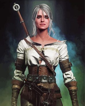 Ciri Witcher Paint By Numbers