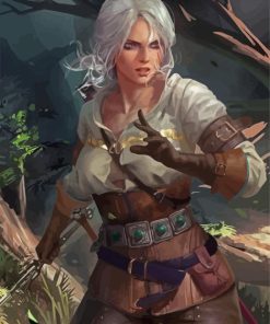 Artistic Ciri Paint By Numbers