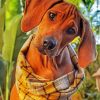 Cute Ridgeback Paint By Numbers