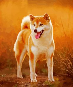 Shiba Inu Puppy Paint By Numbers