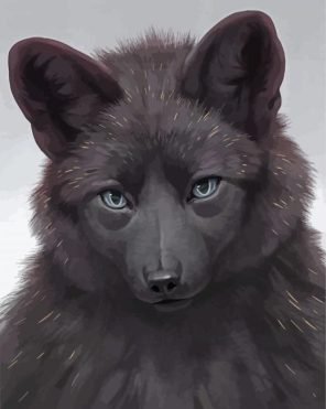 Black Wolf Paint By Numbers