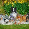 Cute Sheepdogs Paint By Numbers