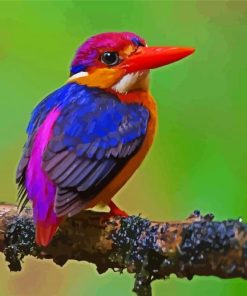 Colorful Kingfisher Paint By Numbers