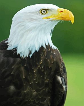 Royal Eagle Paint By Numbers