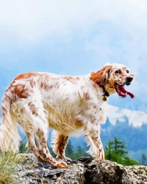 English Setter Paint By Numbers