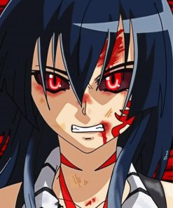 Angry Akame Paint By Numbers