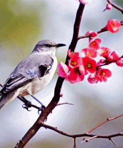 bird On Floral Stick Paint By Numbers