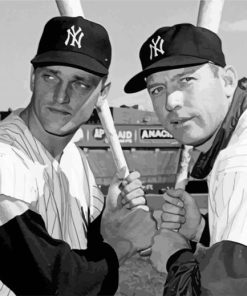 Mickey Mantle And Roger Paint By Numbers