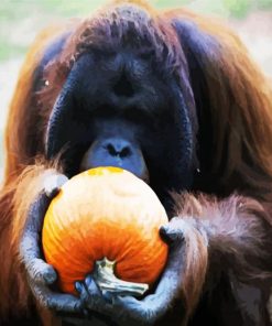 Orangutan Paint By Numbers