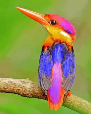 Cute Kingfisher Bird Paint By Numbers