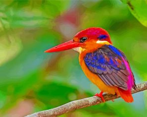 Little Kingfisher Paint By Numbers