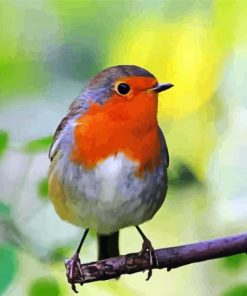 Robin On Stick Paint By Numbers