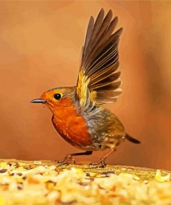 Little Robin Paint By Numbers