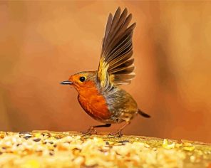 Little Robin Paint By Numbers