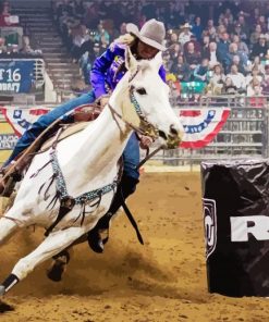 Rodeo Sport Paint By Numbers