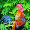 Adorable Rooster Paint By Numbers